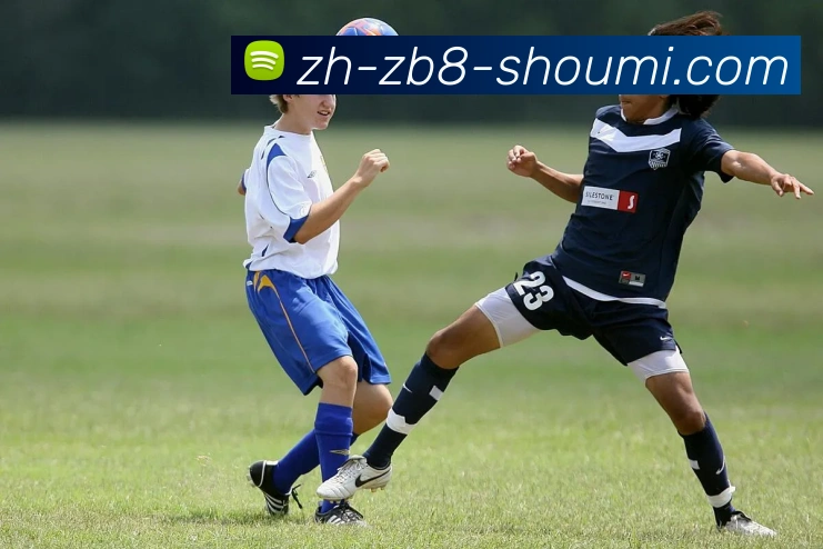 收米体育直播发展历程